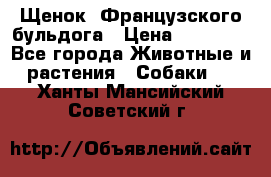 Щенок  Французского бульдога › Цена ­ 35 000 - Все города Животные и растения » Собаки   . Ханты-Мансийский,Советский г.
